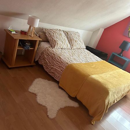 Chambre D Hote Maison Privee Kingersheim Buitenkant foto